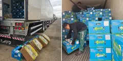 Cada uno de estos veh&iacute;culos transporta alrededor de 1.000 cajas de banano, seg&uacute;n el reporte