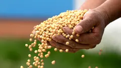 AGRO-01