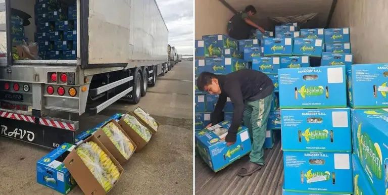 Cada uno de estos veh&iacute;culos transporta alrededor de 1.000 cajas de banano, seg&uacute;n el reporte