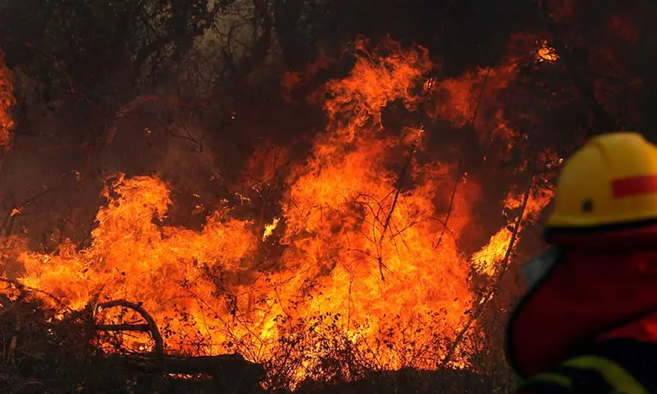 INCENDIOS-FORESTALES-EN-BOLIVIA