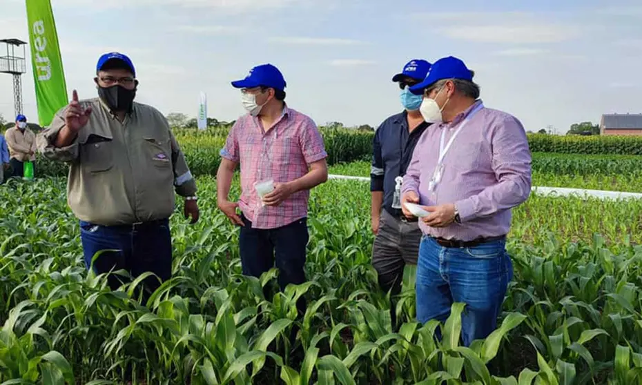 UREA-BOLIVIA-PARCELAS