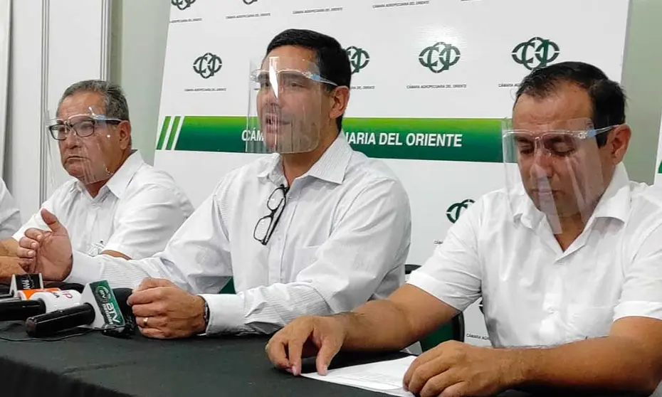 CAO-AVASALLAMIENTOS