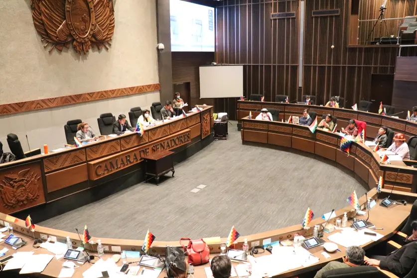 Camara Senadores