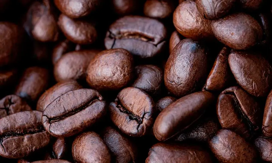 INIAF-APP-CAFETALES