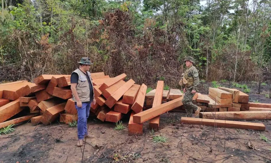 EXTRACCION-DE-MADERA-FRONTERA-PERU