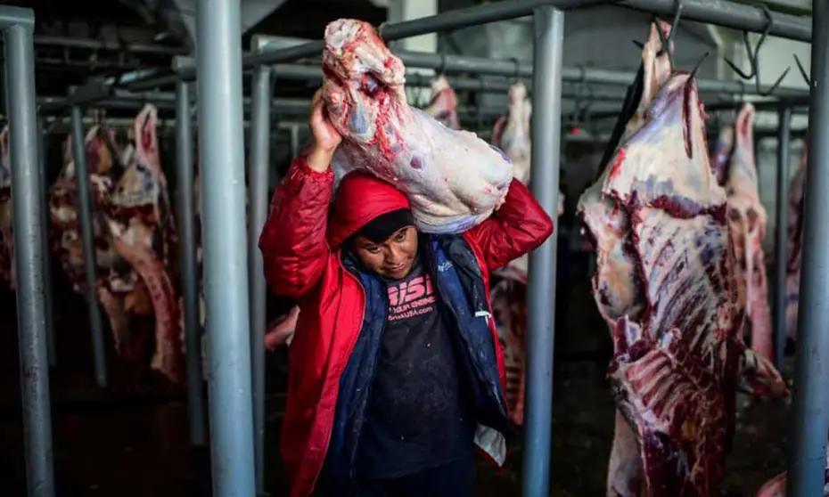 CARNE-BOVINA-MERCADOS-INTERNO-Y-EXTERNO
