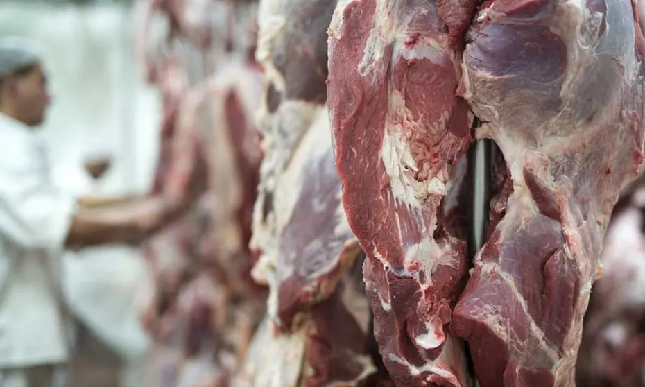 CARNE-MERCADO-INTERNO