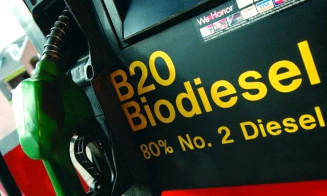 biodiesel Bolivia
