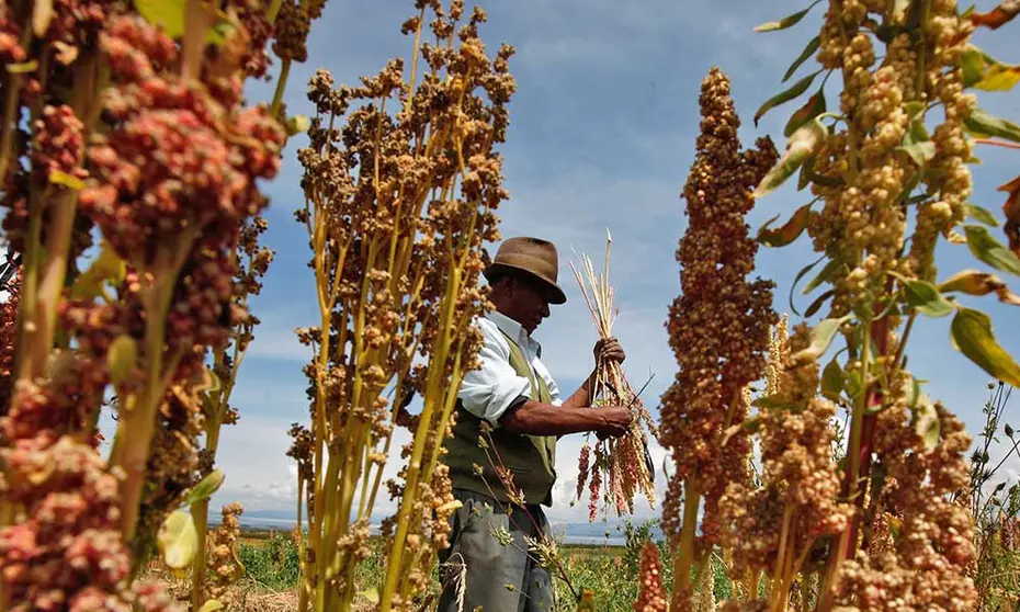 ECONOMIA-BOLIVIA