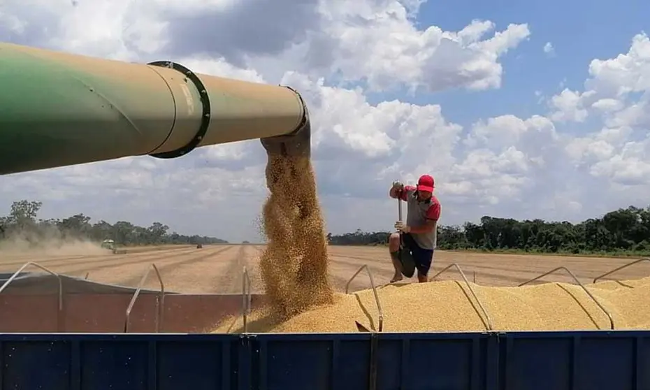SOYA-BIOTECNOLOGIA-ANAPO-1