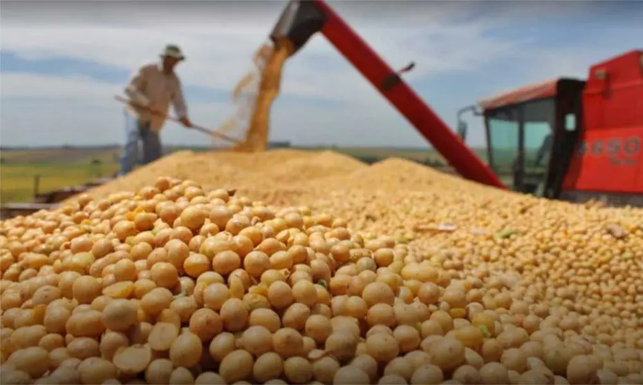CANIOB-SOYA-BIOTECNOLOGIA
