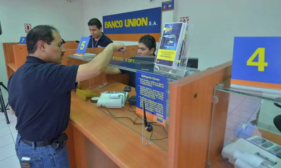Union-camel-informe