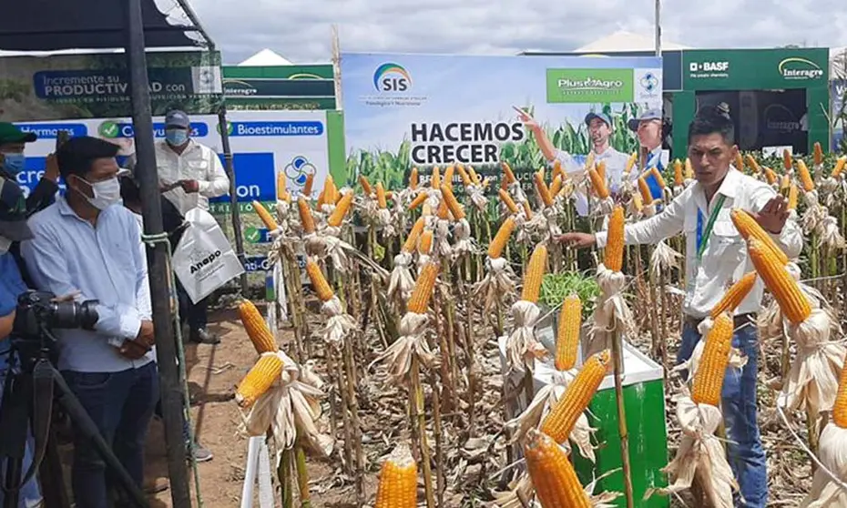 ANAPO-ABASTECIMIENTO-DE-ALIMENTOS-1