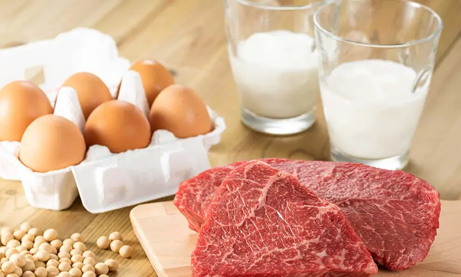 PROTEINA-ANIAL