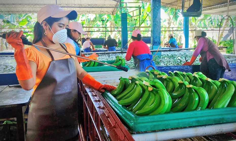 EXPORTACION-DE-ALIMENTOS-IBCE-INE