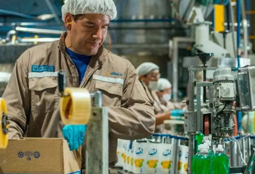 Industria Manufacturera