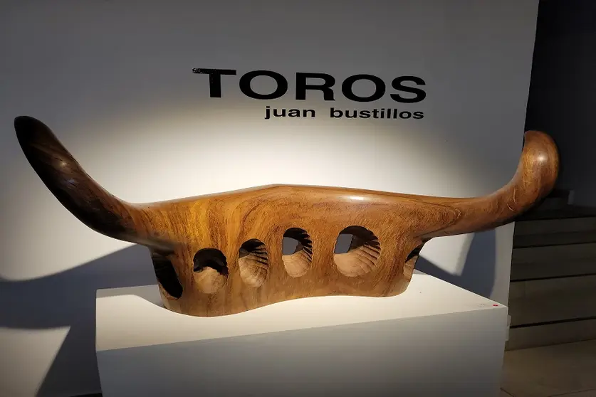 MADERA TOCO (1)