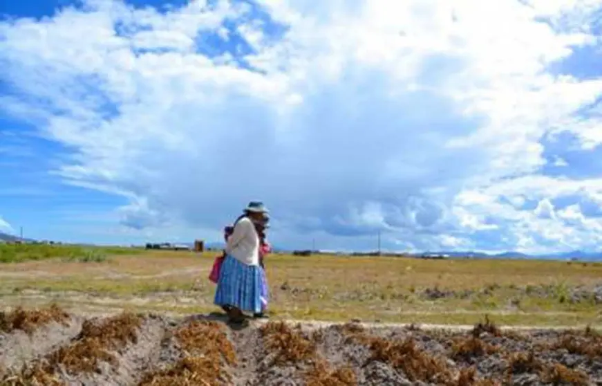 mujer-en-el-altiplano