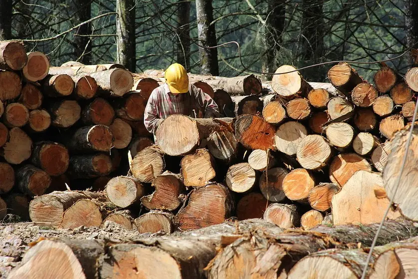 FSC Bolivia