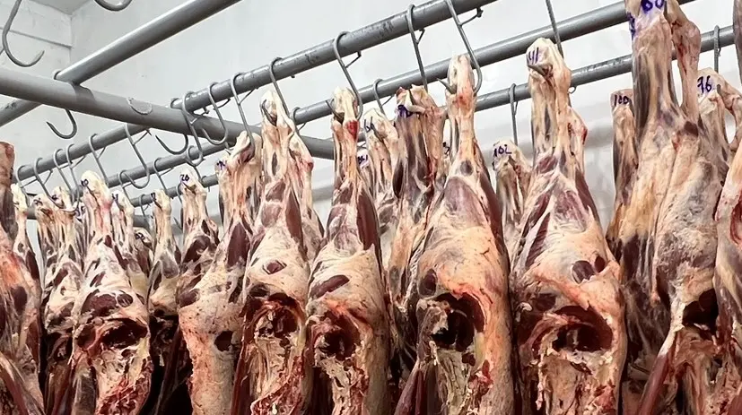 Abastecimiento de carne de res
