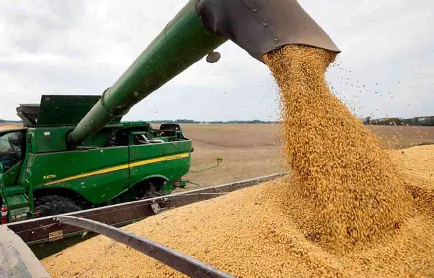 Soya producci&oacute;n