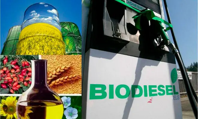 Biocombustibles