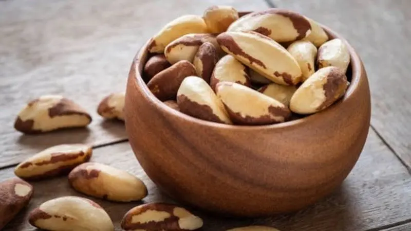 Casta&ntilde;a boliviana