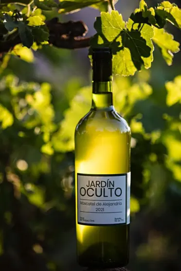 Vino Jardin Oculto