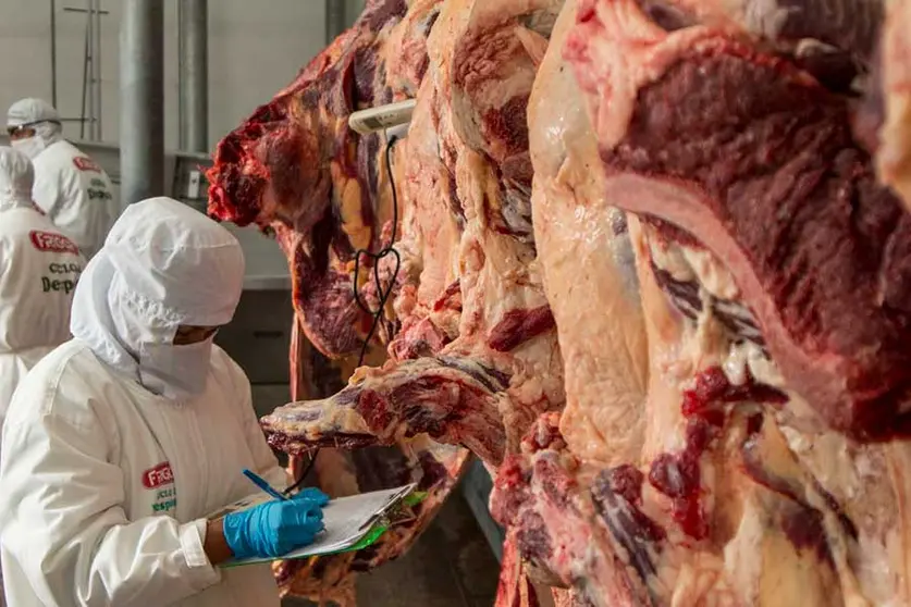 CARNE-DE-RES-ABASTECIMIENTO