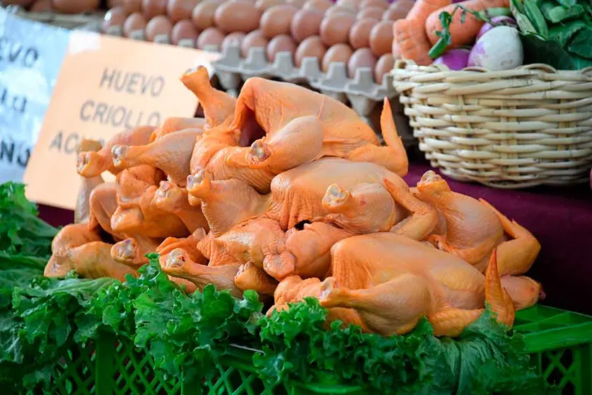 ABASTECIMIENTO-DE-POLLOS