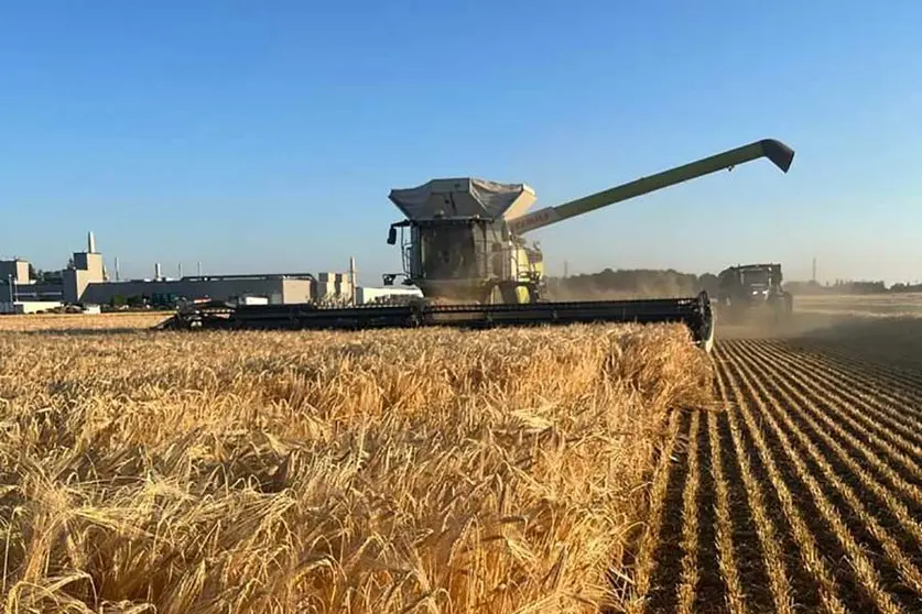 AGRO