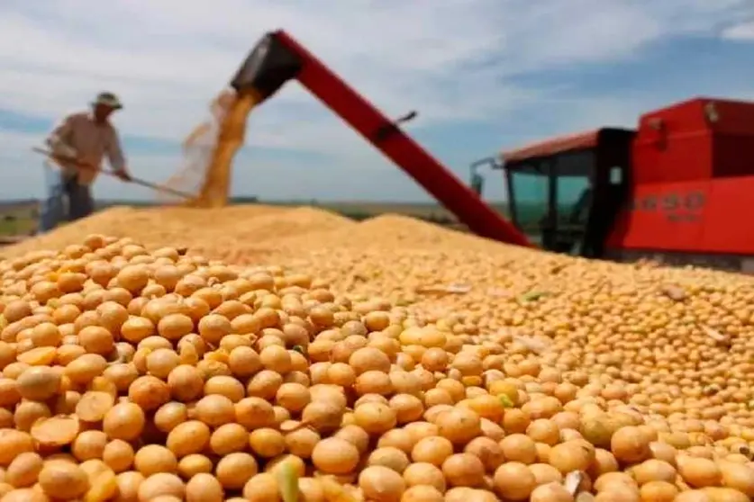 SOYA-CANIOB