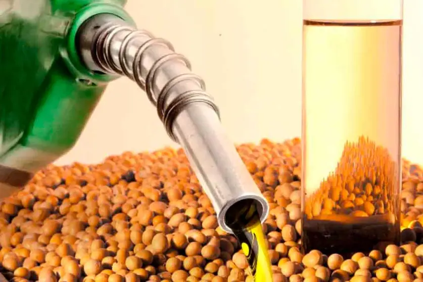 PLANTAS-DE-PROCESAMIENTO-DE-SOYA