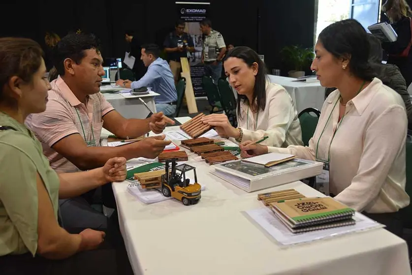 SECTOR-FORESTAL