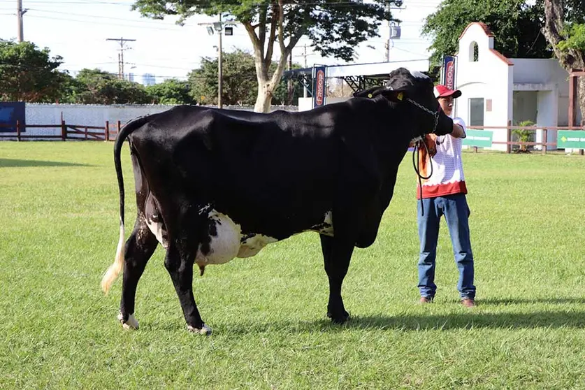 AGROPECRUZ-01