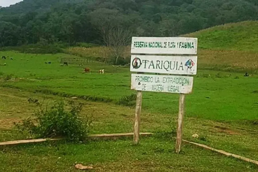 TARIQUIA