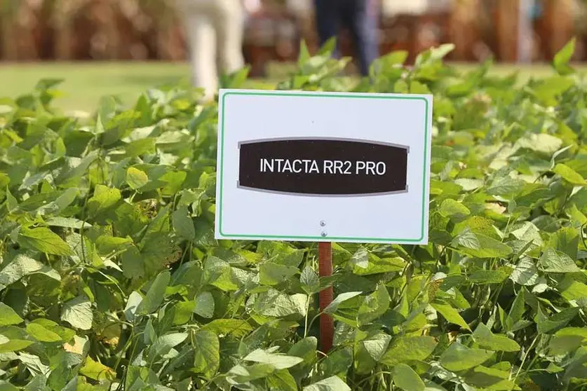 INTACTA-ANAPO-01