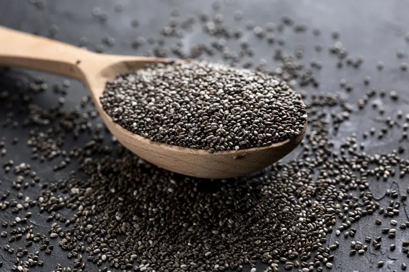 CHIA-BOLIVIANA-01