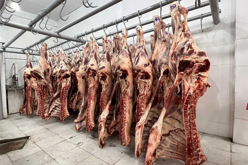 CARNE-DE-RES-01