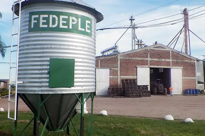 FEDELE