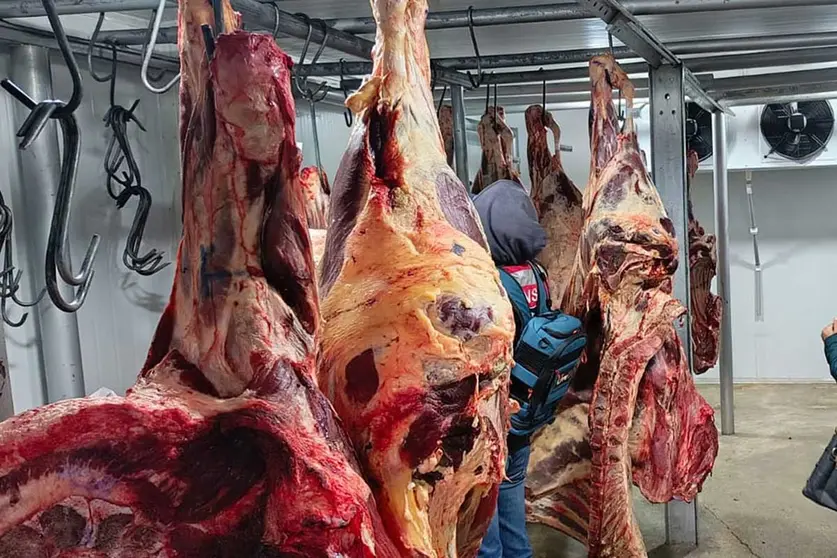 CARNE-DE-RES