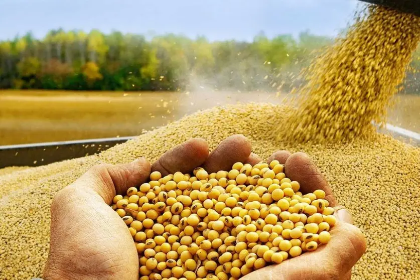 SOYA