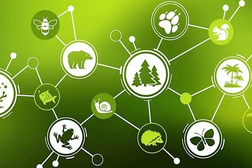 dia-de-la-biodiversidad
