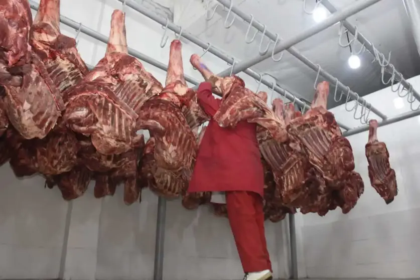 LA-RAZON-CARNE