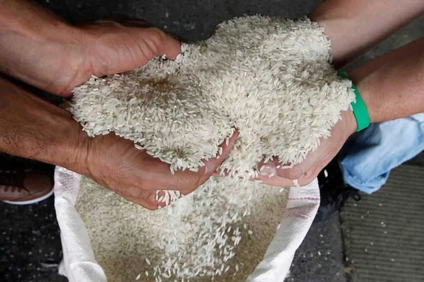 ABI-ARROZ