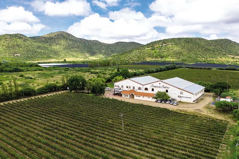 Bicentenario-Bodega-Campos-de-Solana
