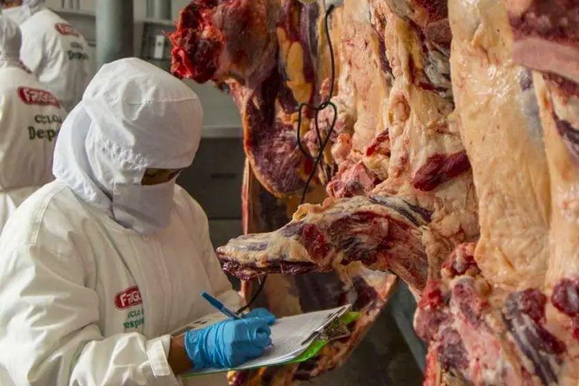 CARNE-01