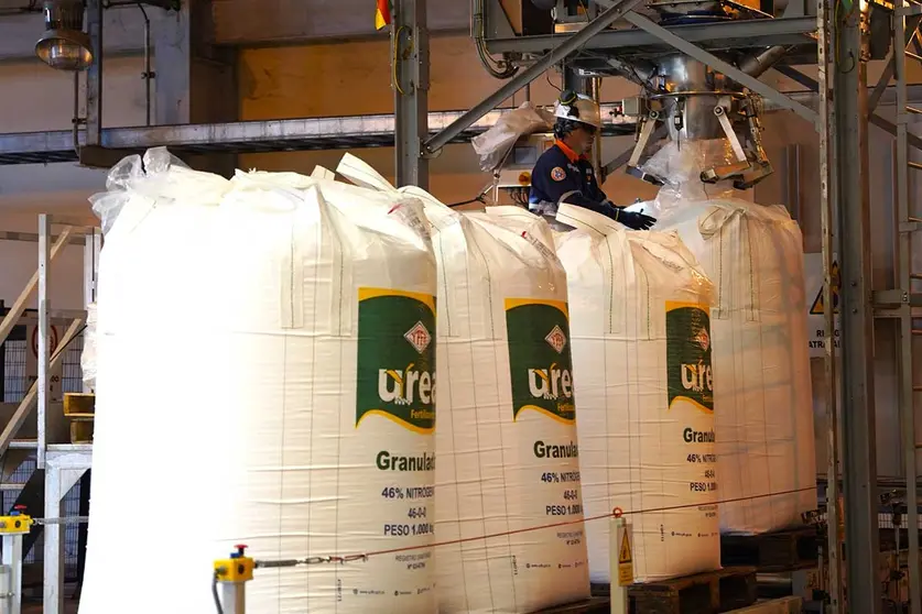 UREA-01