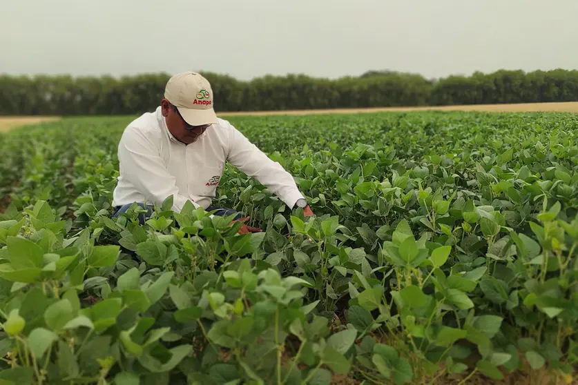 EXPOSOYA-DEL-NORTE-01