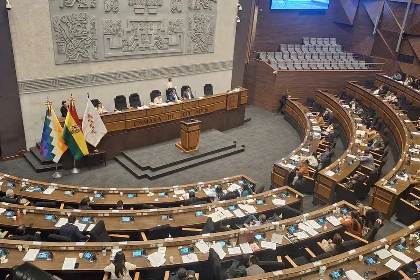 DIPUTADOS